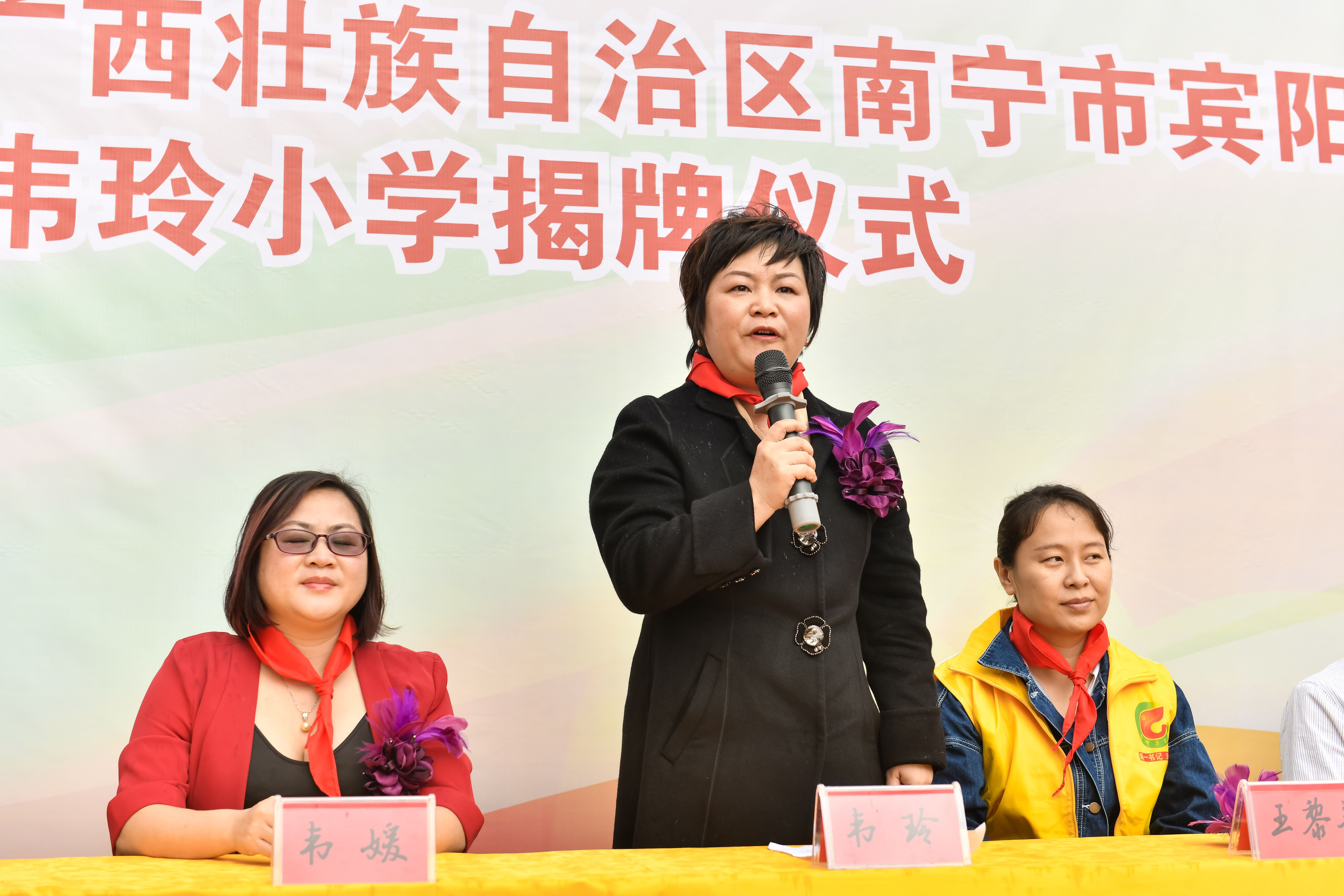 第184所 南宁市宾阳县思陇镇昆仑村江南在线注册韦玲小学 第184所 南宁市宾阳县思陇镇昆仑村江南在线注册韦玲小学